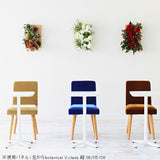アートパネル 防汚 エアプランツ | Botanical v.class 05