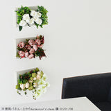 ピンク 植物 壁掛け | Botanical v.class 01