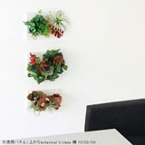 人工観葉植物 アートフラワー | Botanical v.class 04