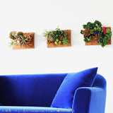 人工観葉植物 アートフラワー | Botanical v.class 04