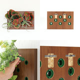 人工観葉植物 アートフラワー | Botanical v.class 04