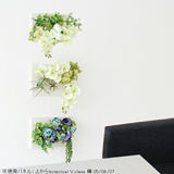 人工観葉植物 胡蝶蘭 パネル | Botanical v.class 05