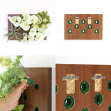 胡蝶蘭 エアプランツ 造花 | Botanical v.class 09