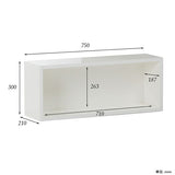 ウォールシェルフ 長方形 | wallbox7 B-750 nail