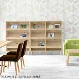 ラック 雑誌 収納 | SFcafe 1500-2 ADJtype