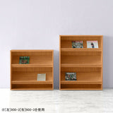 雑誌 ディスプレイ ラック | SFcafe 900-2 ADJtype