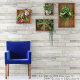 アートパネル 光触媒 観葉植物 | Botanical e.class 15