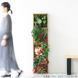 アートパネル 光触媒 観葉植物 | Botanical e.class 02