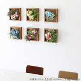 光触媒 フェイクグリーン | Botanical e.class 04