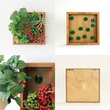 アートパネル 光触媒 観葉植物 | Botanical e.class 02