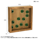 アートパネル 光触媒 観葉植物 | Botanical e.class 02