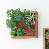 アートパネル 光触媒 観葉植物 | Botanical e.class 02