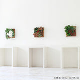 アートパネル 光触媒 観葉植物 | Botanical e.class 02