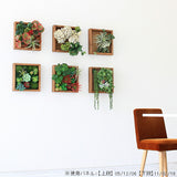 壁掛け アートパネル | Botanical e.class 06
