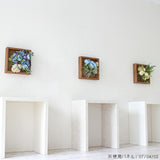 フェイクグリーン 壁掛け 光触媒 | Botanical e.class 07