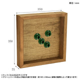 光触媒 フェイクグリーン | Botanical e.class 04