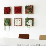 人工観葉植物 ウォールグリーン | Botanical e.class 13