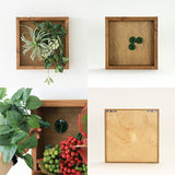 壁掛け アートパネル | Botanical e.class 06