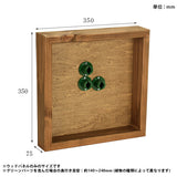 壁掛け アートパネル | Botanical e.class 06