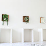 壁掛け アートパネル | Botanical e.class 06