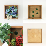 フェイクグリーン 壁掛け 光触媒 | Botanical e.class 07