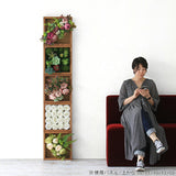 人工観葉植物 ウォールグリーン | Botanical e.class 10