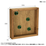 光触媒 人工観葉植物 | Botanical e.class 09