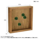 人工観葉植物 ウォールグリーン | Botanical e.class 10