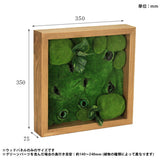 フェイクグリーン 壁掛け 光触媒 | Botanical e.class 11