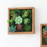 フェイクグリーン 壁掛け 光触媒 | Botanical e.class 11