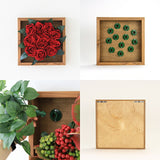 アートパネル 光触媒 観葉植物 | Botanical e.class 15