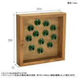 アートパネル 光触媒 観葉植物 | Botanical e.class 15