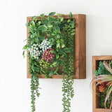 壁掛け アートパネル | Botanical e.class 16