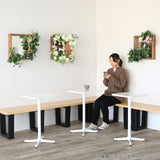 インテリアパネル 造花 アートパネル | Botanical mirror4242 06