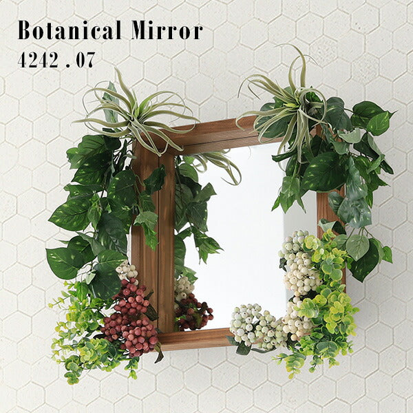 玄関ウォールミラー 壁面収納｜Botanical mirror4242 07｜0000a72559