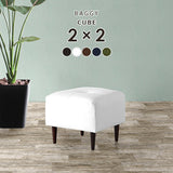 Baggy Cube 2×2/脚DBR 合皮