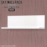 SKY WallRack-square 7520 nail