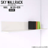 SKY WallRack-square 13520 nail