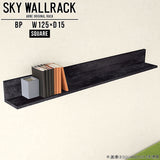 SKY WallRack-square 12515 BP