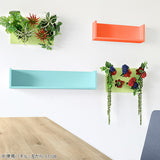 Botanical aino c.class 01 PPK