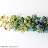 Botanical aino c.class 01 PPK