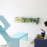 Botanical aino c.class 08 PPK