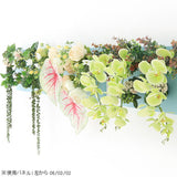 Botanical aino c.class 02 PPK