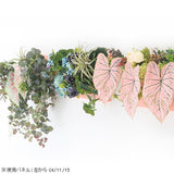 Botanical aino c.class 04 PPK