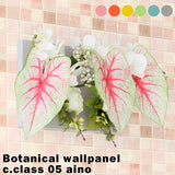 Botanical aino c.class 05 PPK