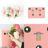 Botanical aino c.class 05 PPK