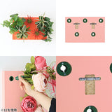 Botanical aino c.class 07 PPK