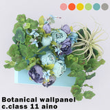 Botanical aino c.class 11 PPK