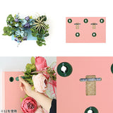 Botanical aino c.class 11 PPK