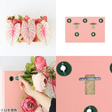 Botanical aino c.class 12 PPK